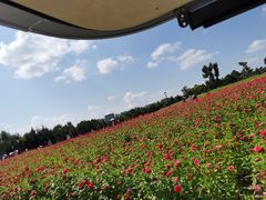 -长春世界雕塑园冰雪艺术天地