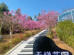 -盈香心动乐园