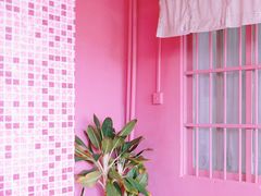 -胖爸爸烘焙工作室(平湖家居店)