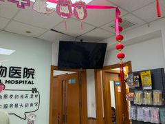 -宠福鑫动物医院(城北分院)