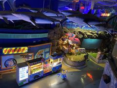 -烟台海昌鲸鲨海洋公园