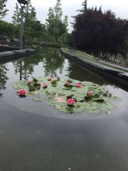 -苏州大学附属儿童医院(园区总院)