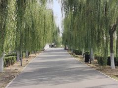 -天津东丽湖风景区