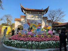 -翠湖公园