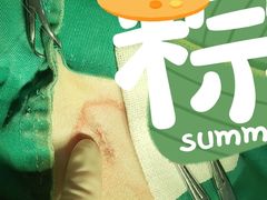 -艾贝尔宠物诊疗