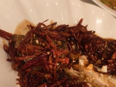 -百姓渔村(南中环店)