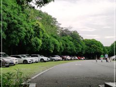-东莞植物园
