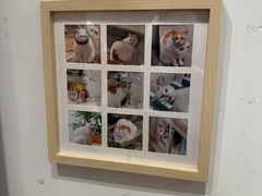 -猫的天空之城概念书店(苏州平江店)