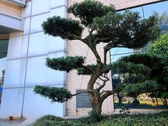 -江苏科技大学(梦溪校区)