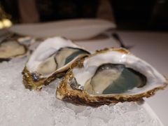 -Oyster Talks 四度蚝法餐厅