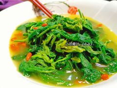 -食德喜·阳山鸡王食研基地