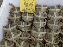 -新合益乡村农庄
