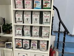 -诺比宠物医院心脏内科·泌尿肾内外科·骨科急重症