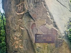 -南山植物园