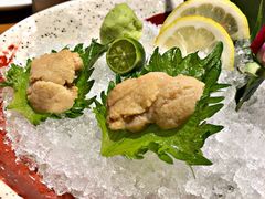 -渔寿司·日本料理(艾尚天地店)