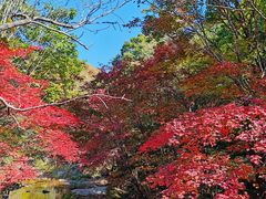 -本溪老边沟风景区