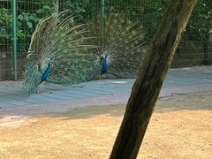 -杭州野生动物世界
