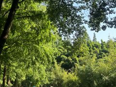 -采石矶景区
