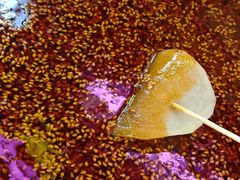 -徐妹串串香(春熙路店)