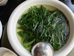 -野菌皇海景野生菌火锅(滨海大道店)
