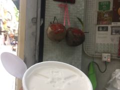-洪馨椰子