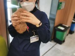 -北京派仕佳德动物医院·超导核磁·CT·神经科·骨科·内外科·急重症管理中心