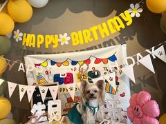 -百好乐宠物友好餐厅(朝外大街店)