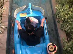 游乐设施-南宫五洲植物乐园