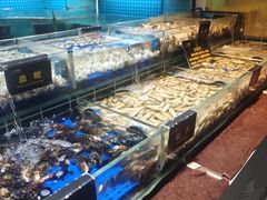 -九月海·海鲜自助(世纪东方店)