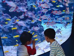 -成都浩海立方海洋公园