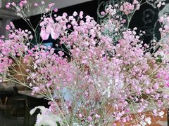 -威克特披萨汉堡