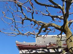 -浅草寺