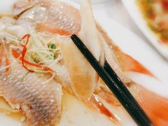 清蒸红斑鱼-顺峰海鲜酒楼(省府店)