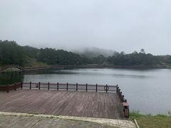 -海南热带雨林国家公园吊罗山景区
