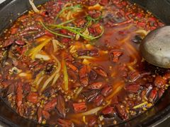 -鸿顺老铁锅美蛙鱼府(解放碑店)