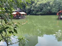 -侨美·唐荔园·40年地道粤菜