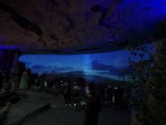 -水洞沟旅游区