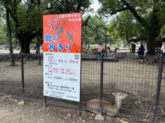 -奈良公园