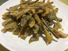 炸鸭嘴鱼-鲤鱼塘农家山庄