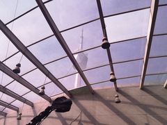 -陕西自然博物馆