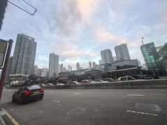 -油麻地果栏