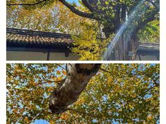 -苏州碑刻博物馆