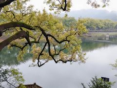 -溪口-滕头旅游景区