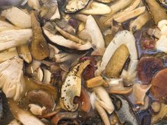 -草墩罗非鱼庄•野生菌•腊排骨(七星街上段店)