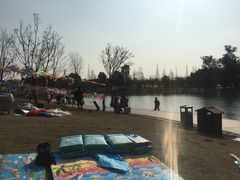 -两河城市森林公园