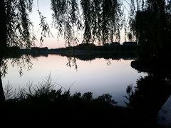 -大兴滨河森林公园