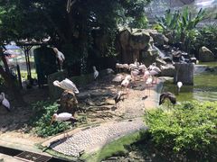 -吉隆坡雀鸟公园