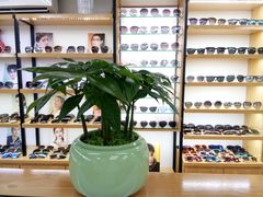 -PARKWAY·百汇眼镜(三叶眼镜城店)