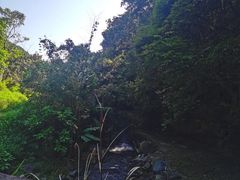 -桂山风景旅游区