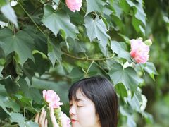 -白鹭湾湿地公园